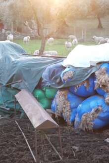 Crise da Lã em debate na Feira do Queijo de Seia